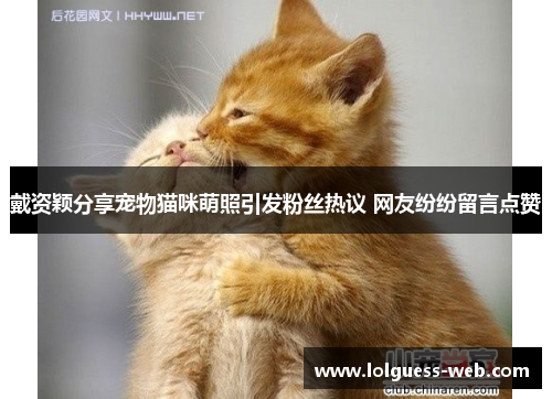 戴资颖分享宠物猫咪萌照引发粉丝热议 网友纷纷留言点赞